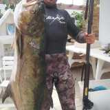 Leccia da 34 kg